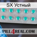 SX Устный 28